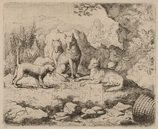 The Cat Sent as Messenger