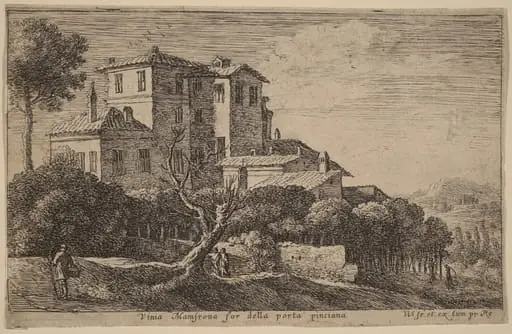 View of the Vineyard of the Villa Mamsrona
