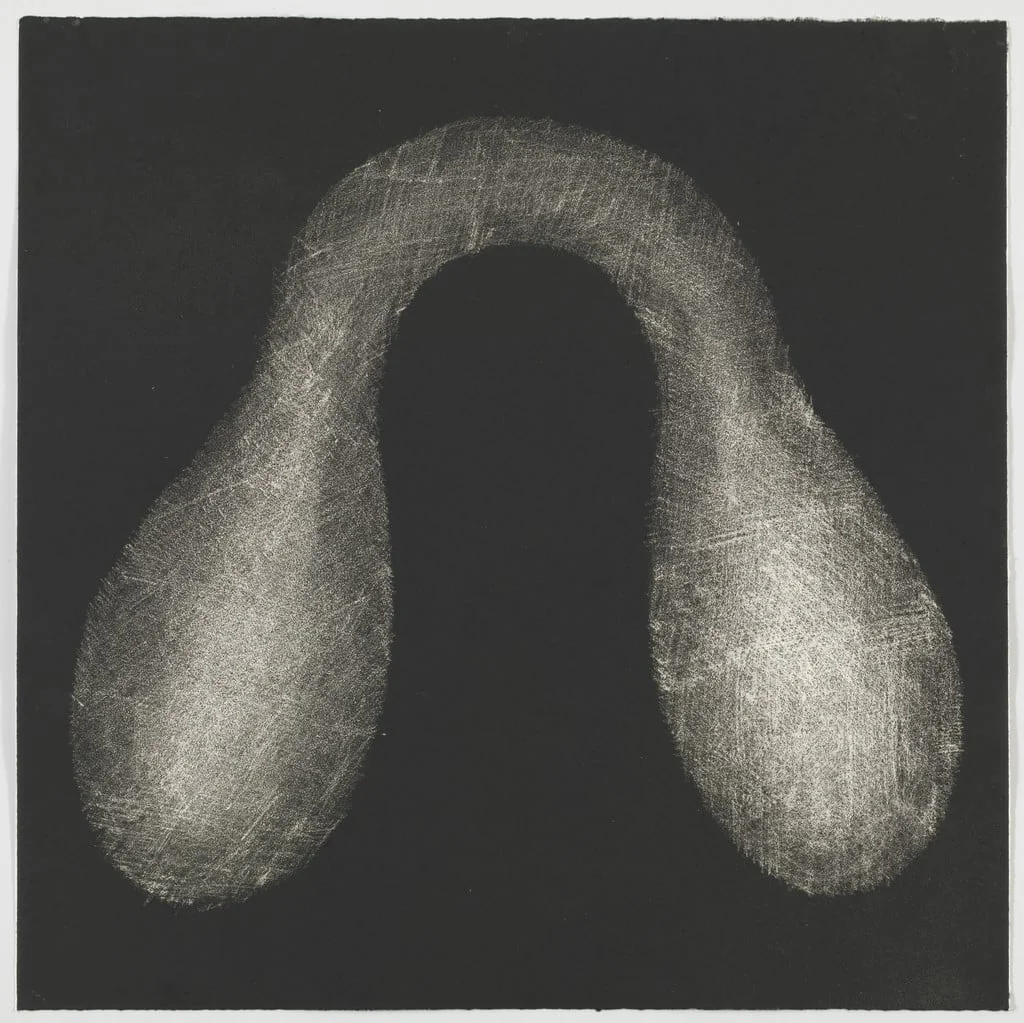 Untitled, by Richard Deacon, ink, 1987