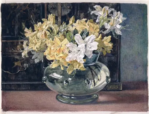 Azaleas