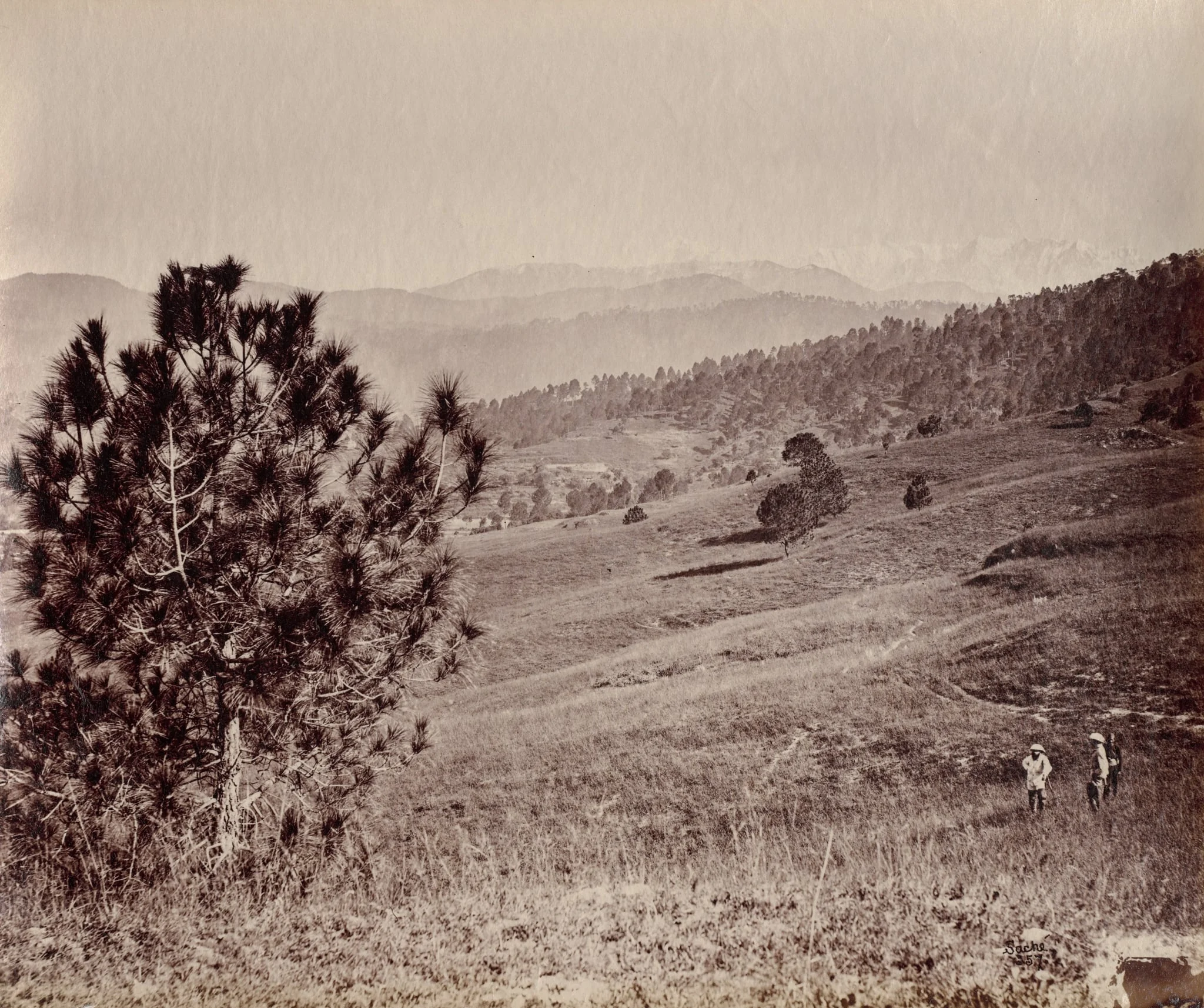 Landscape with Tree and Three Men, India