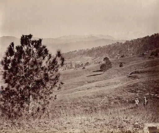 Landscape with Tree and Three Men, India