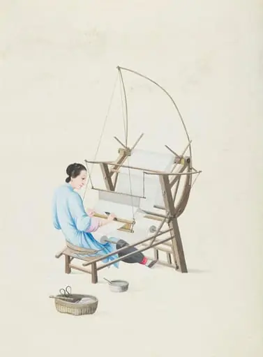 Weaving Cotton