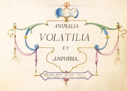 Title Page