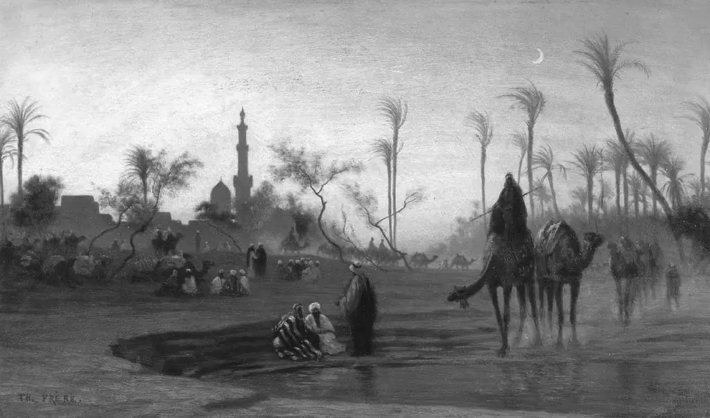 Oasis at Sunset