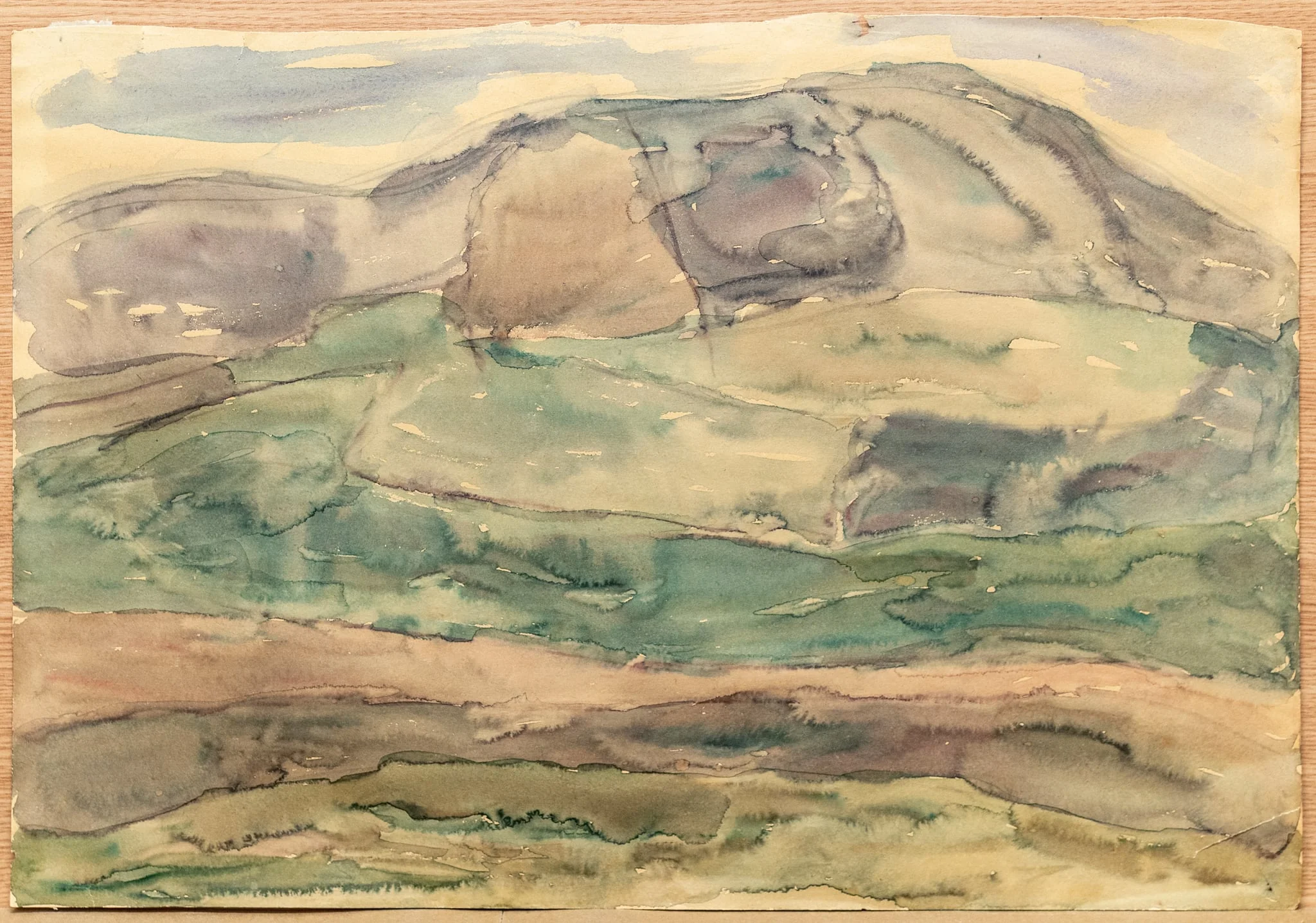 Dealuri dobrogene, by Silvia Jelescu-Grosu, 1950