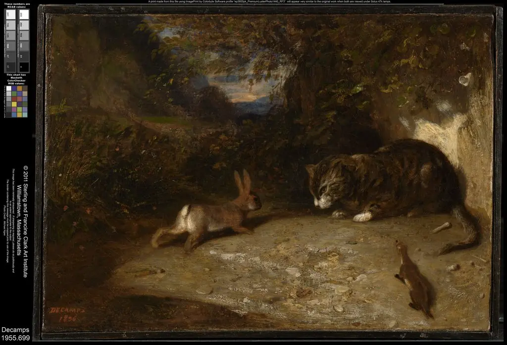 Cat, Weasel, and Rabbit
