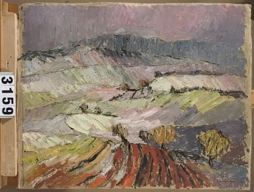 Peisaj
