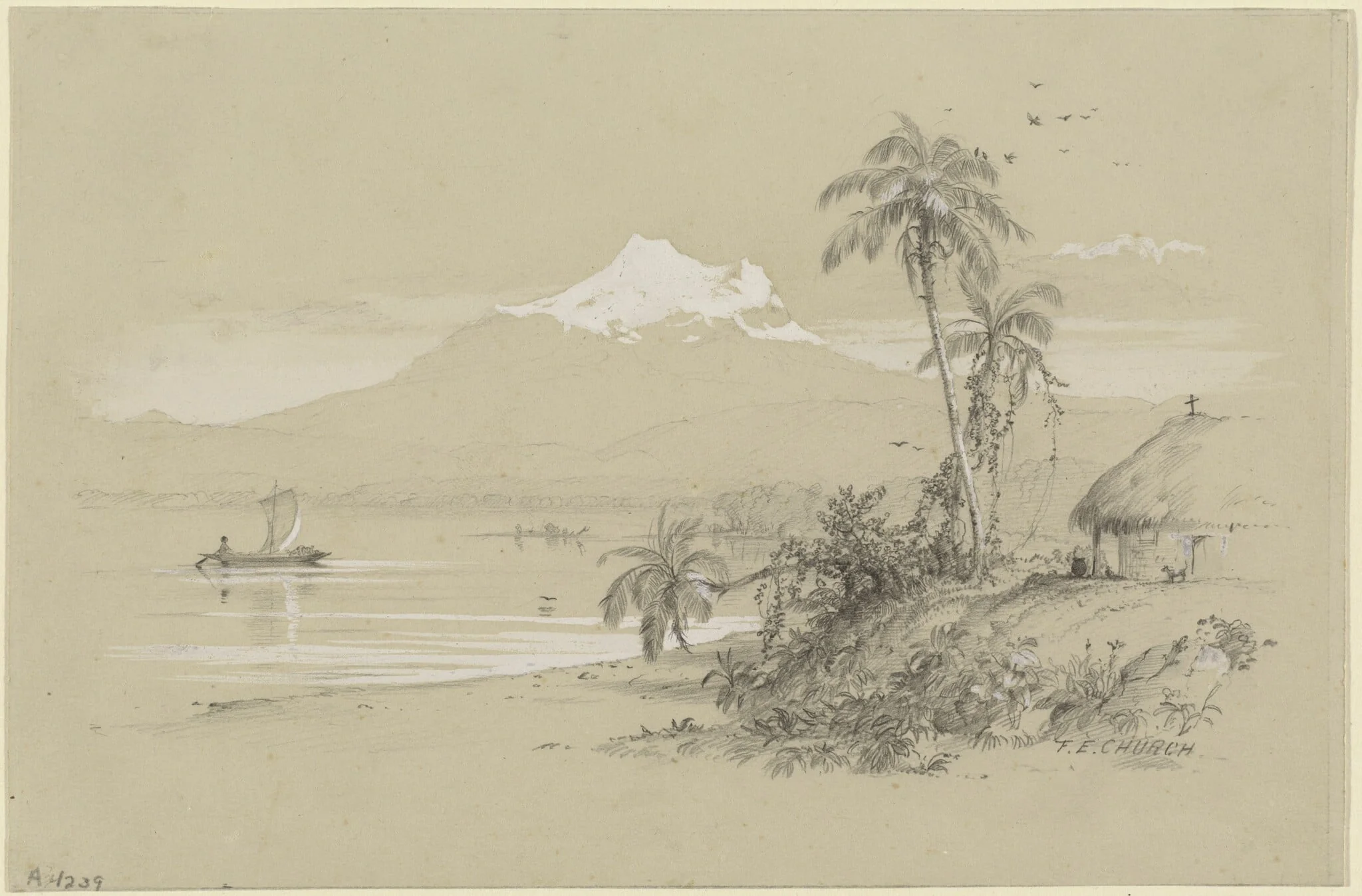Magdalena River, New Granada, Equador, by Frederic Edwin Church, graphite, 1853
