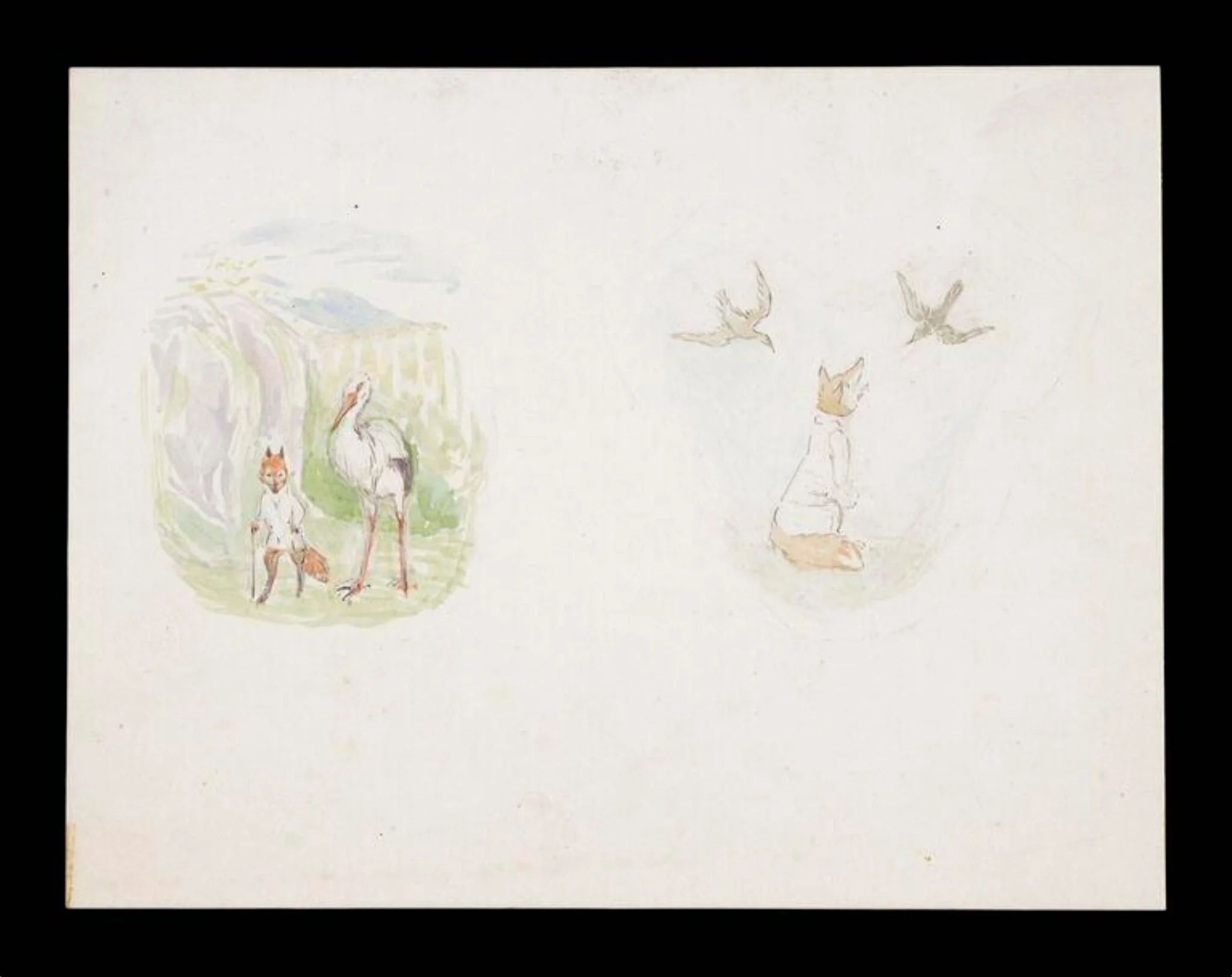 A fox in a glade with a stork; a fox looking up at two birds