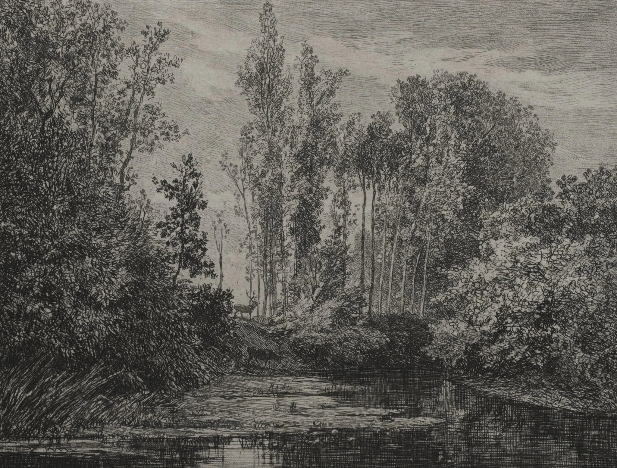 Stags at the water's edge, by Charles François Daubigny, 1850