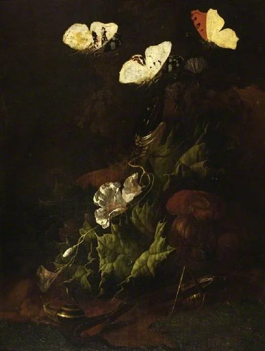 A thistle with snakes and butterflies, by Karl Wilhelm de Hamilton, unspecified, 1718