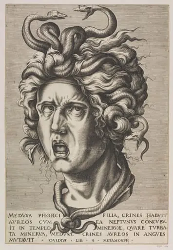 Head of Medusa