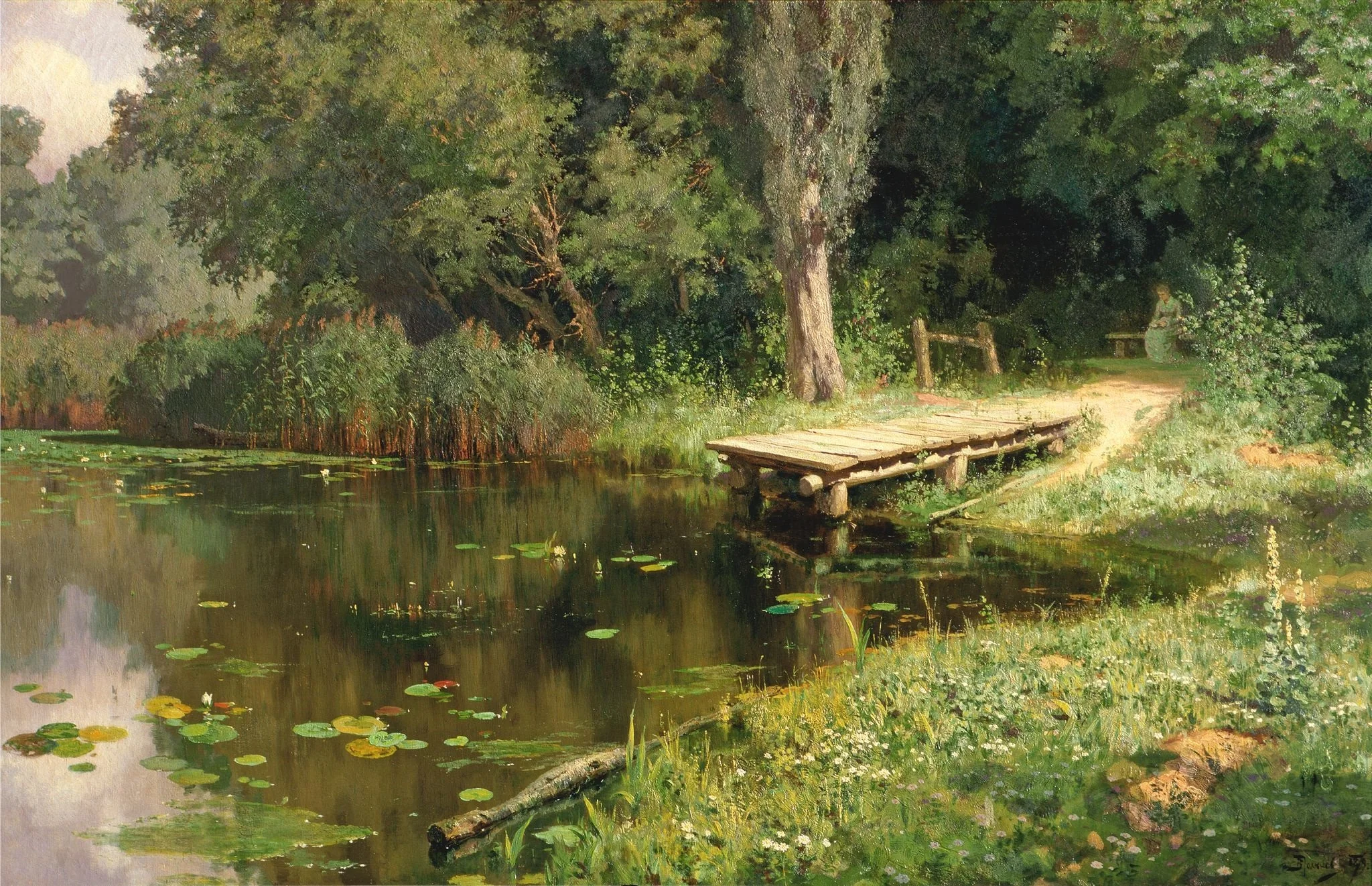 An Overgrown Pond