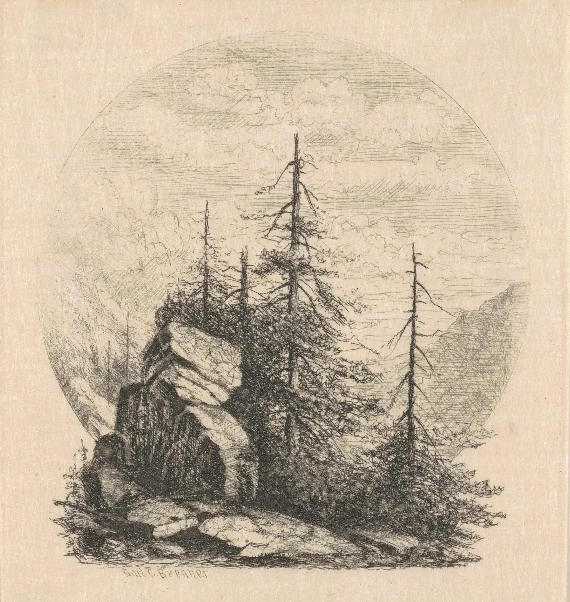 Pines, by Carl C. Brenner, ink, 1880
