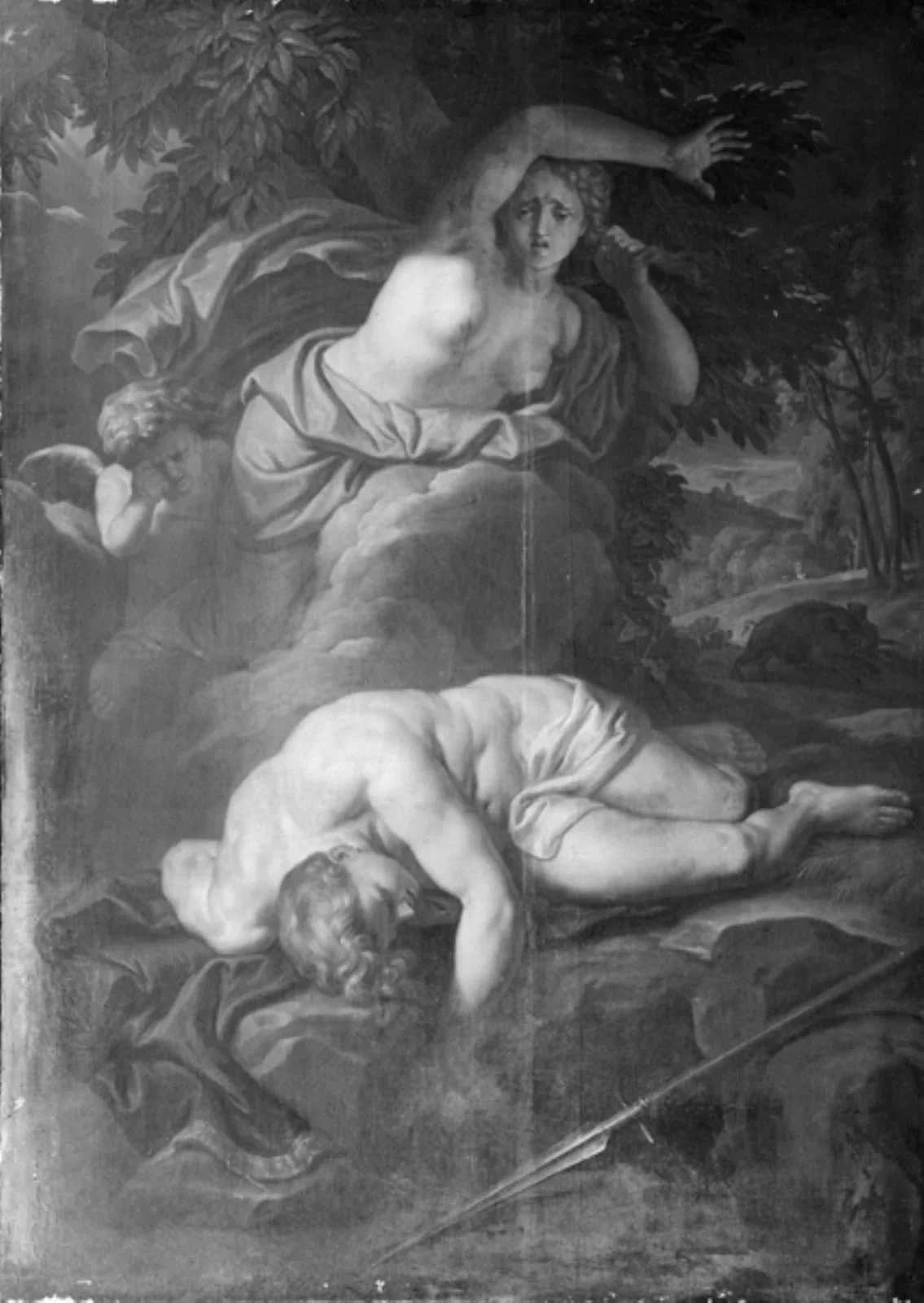 Venus Weeping over the Slain Adonis, by Unknown, 1750