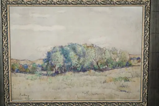 Peisaj la Moinești