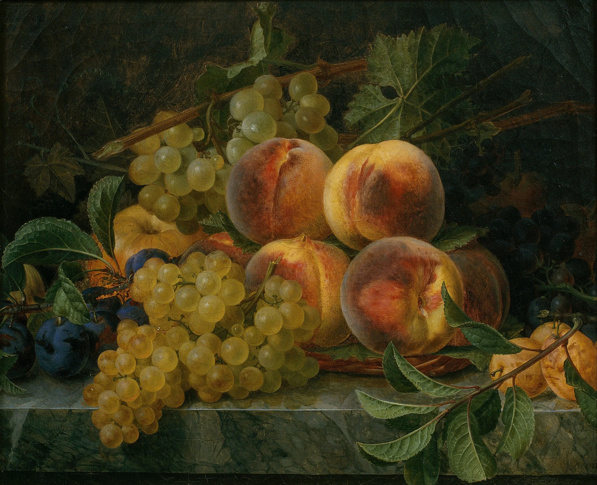 Still Life
