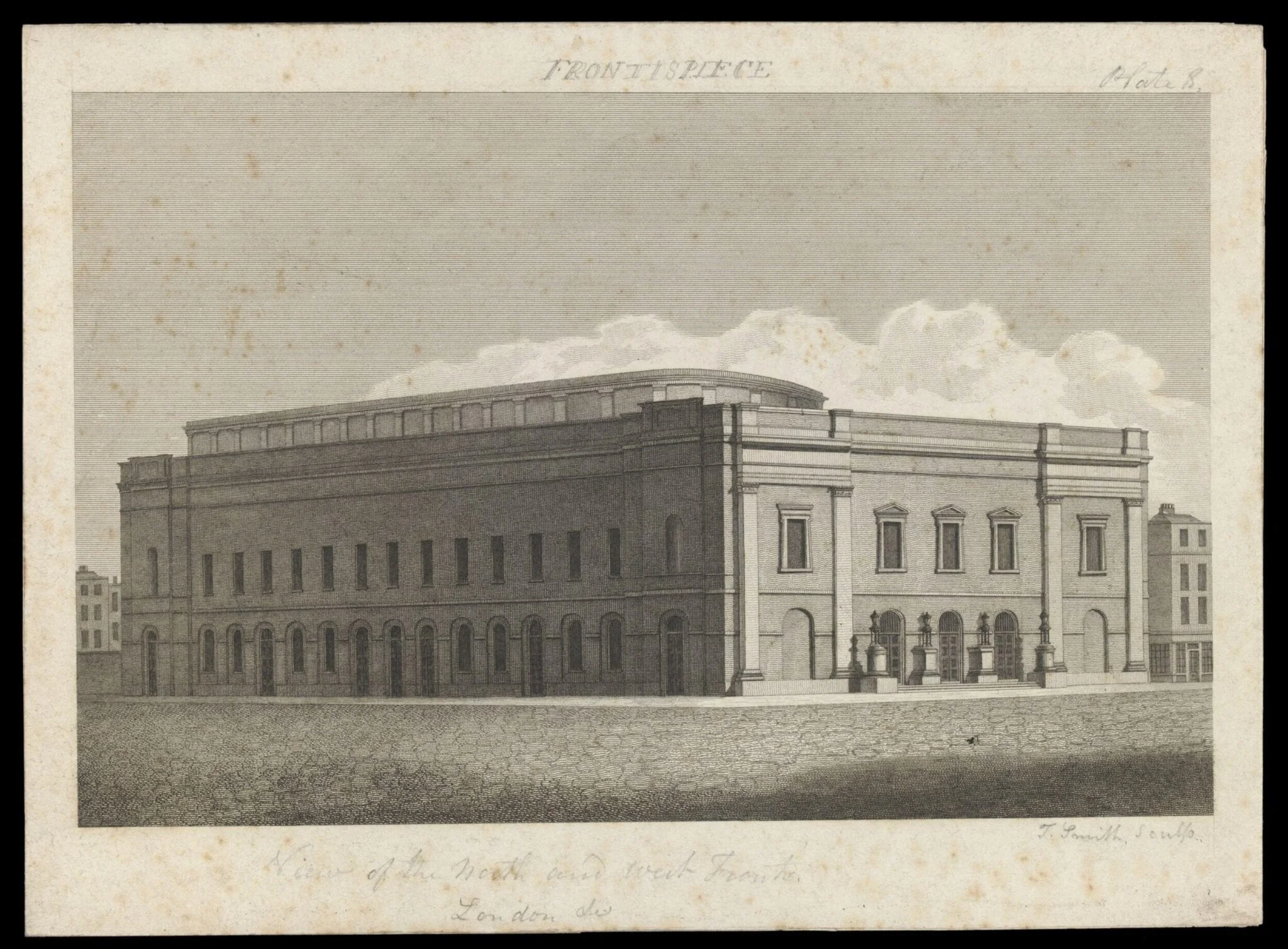 H Beard Print Collection