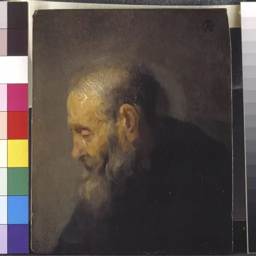 Study of an Old Man in Profile