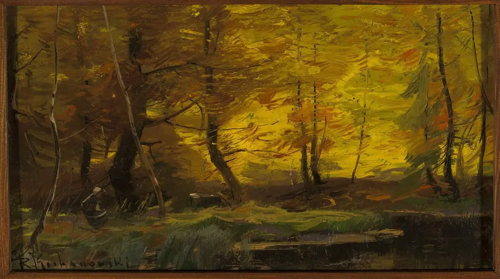 Forest landscape