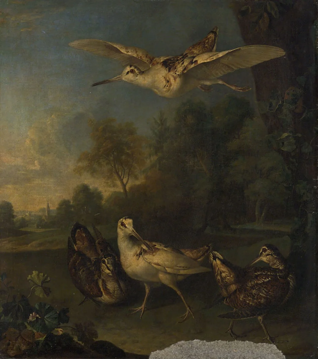 Q27982072, by Philipp Ferdinand de Hamilton, unspecified, 1714
