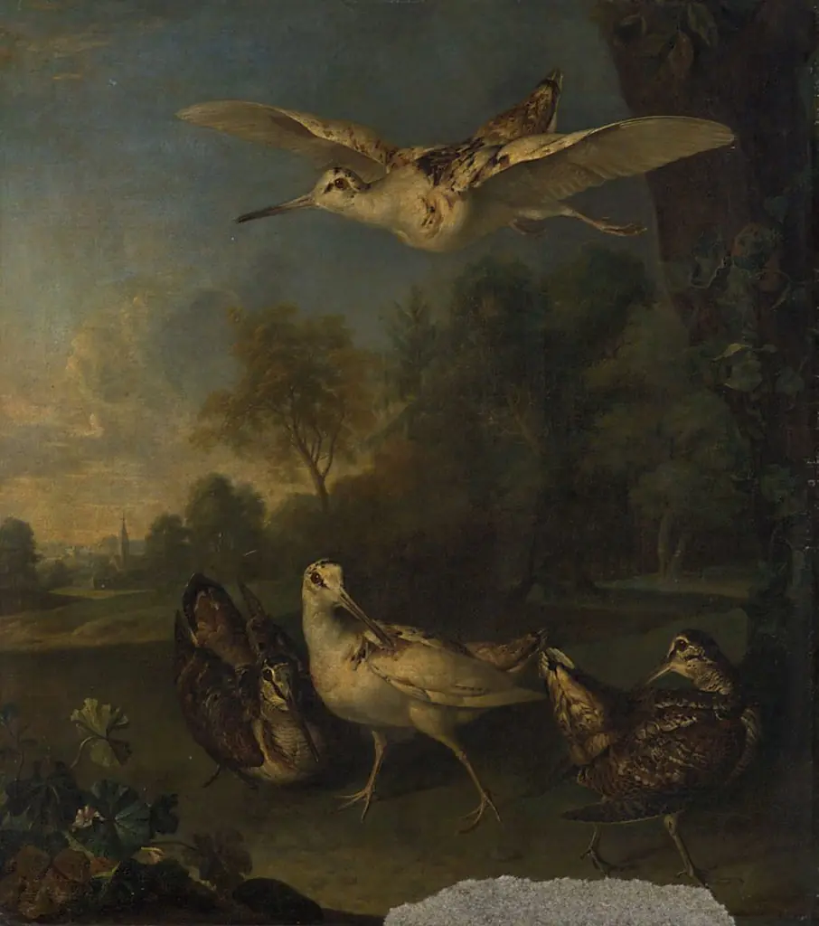 Q27982072