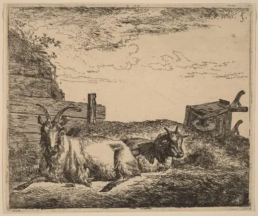 Recumbent Goats