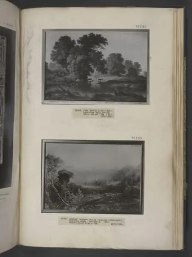 Landscape with cattle