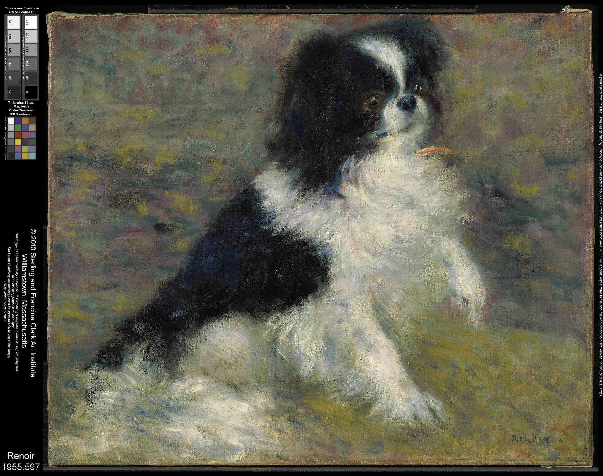 Tama, the Japanese Dog, by Auguste Renoir, oil, 1888