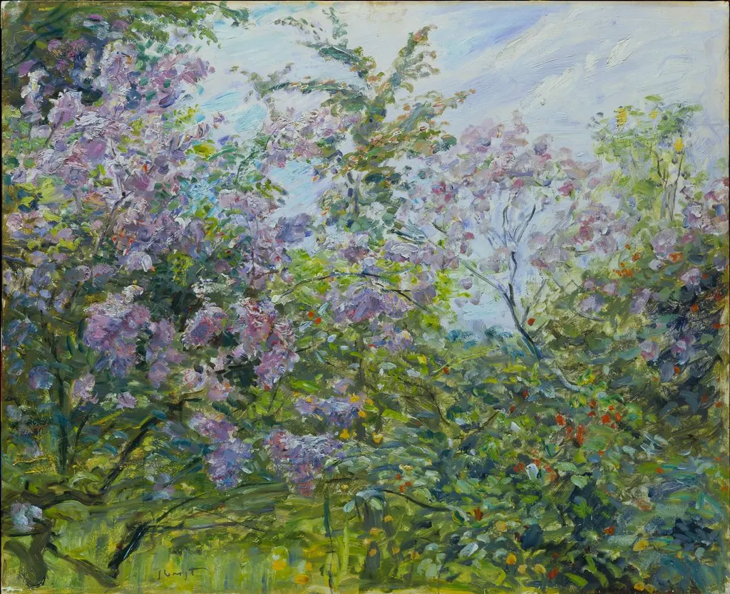 Blossoming Lilac