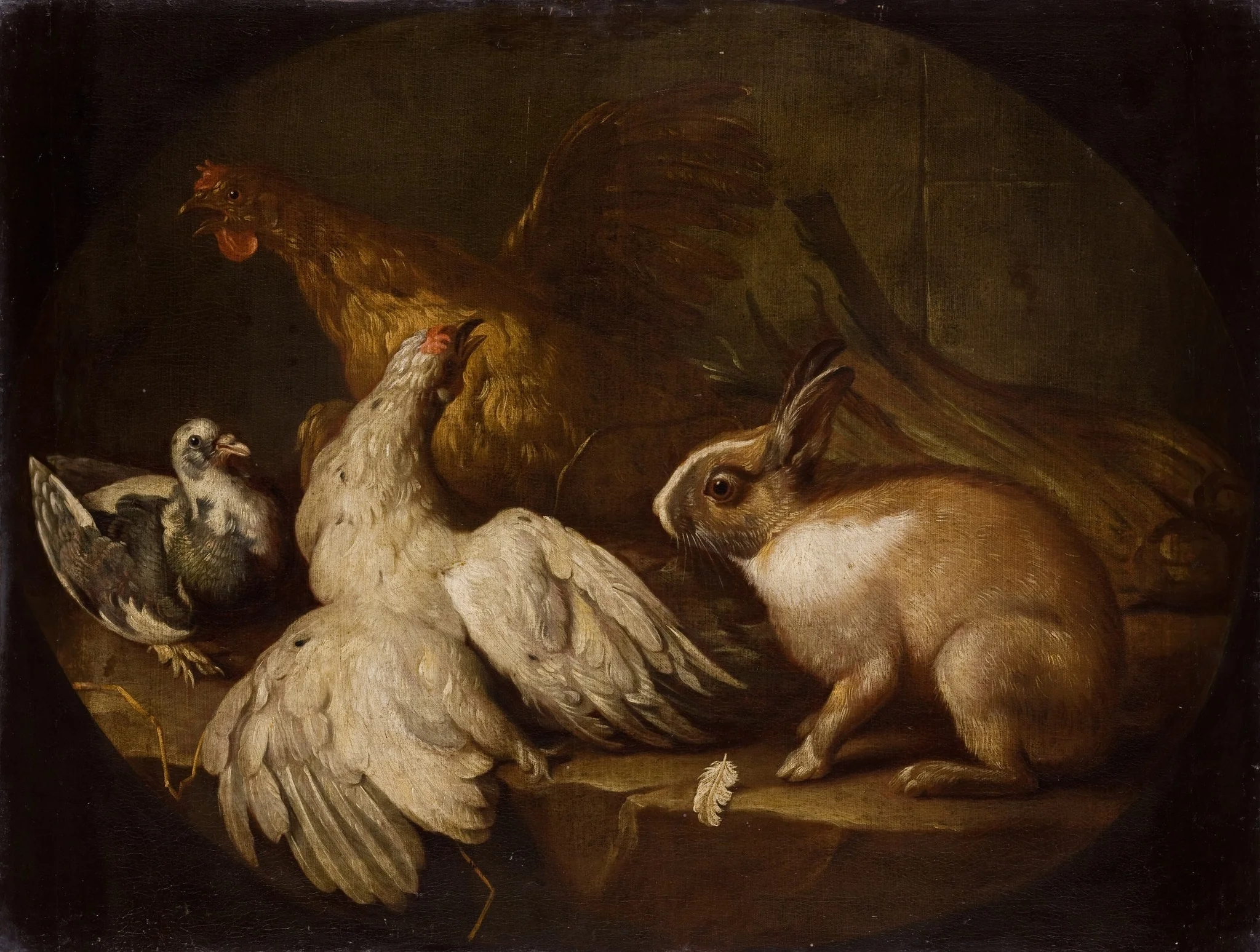 Hens, a Pigeon and a Rabbit, by Giovanni Agostino Cassana, oil, 1719