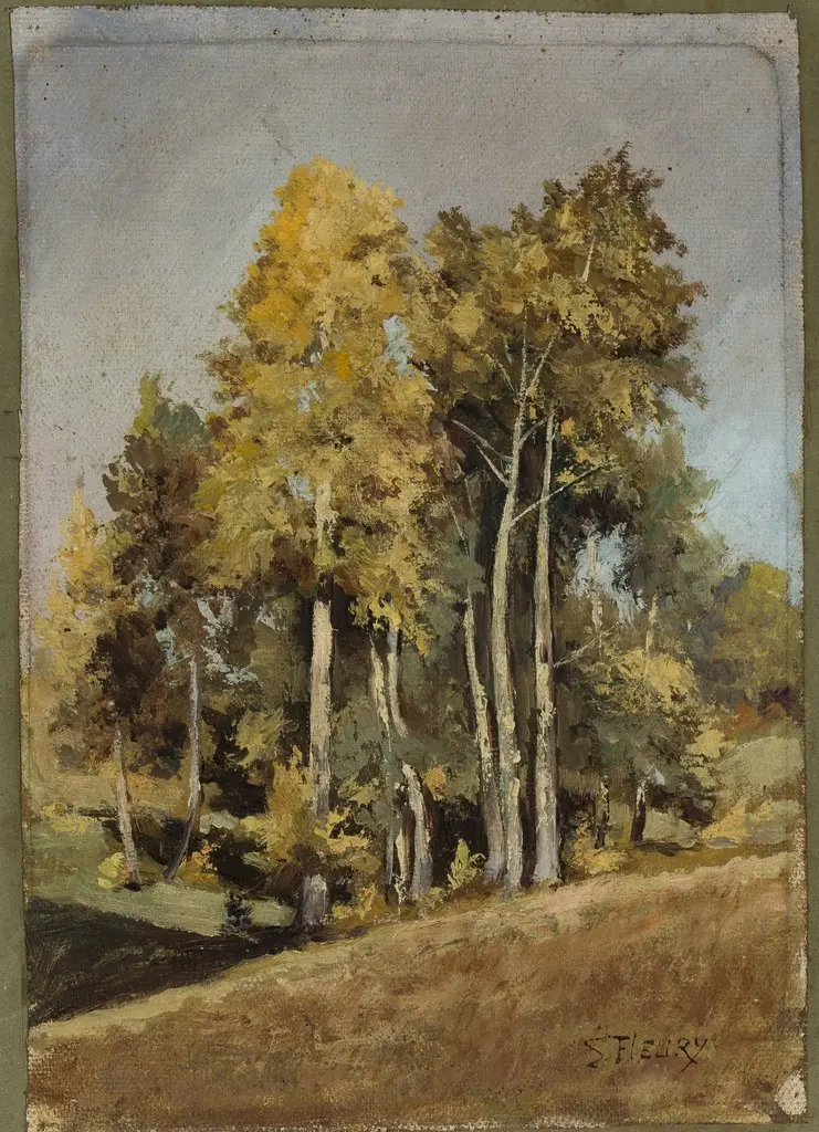 Study of trees
