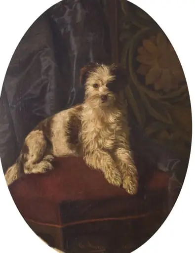 Un câine