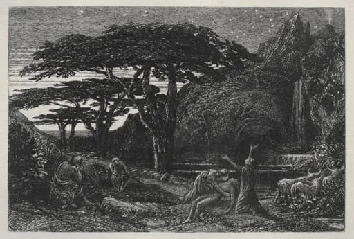 The Cypress Grove