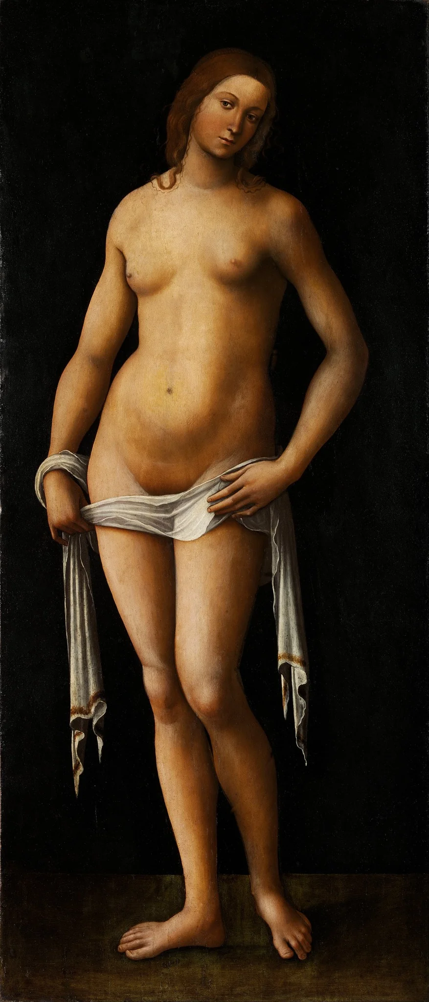 Venus, by Lorenzo Costa, oil, 1515