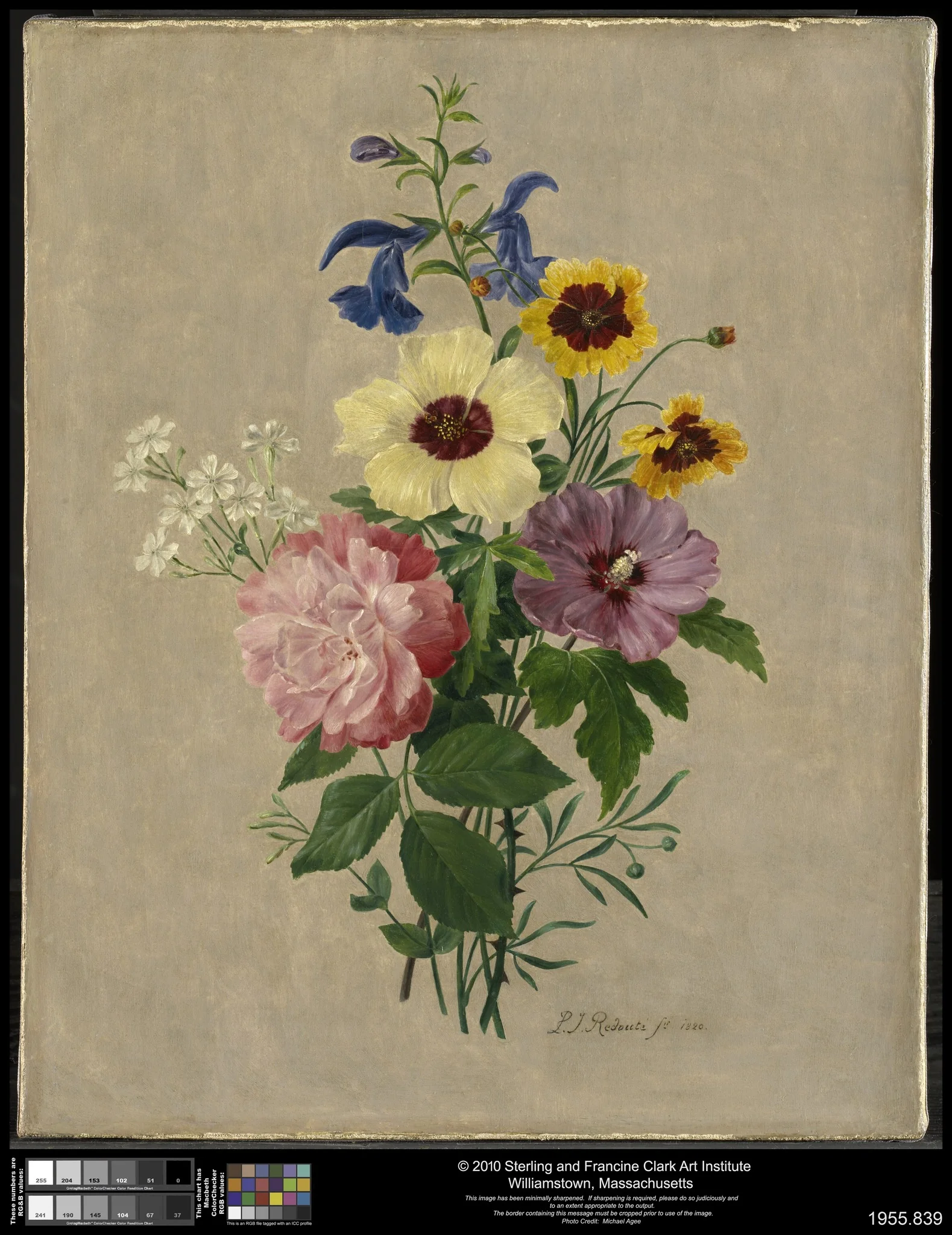 Flowers, by Pierre Joseph Redouté, oil, 1820