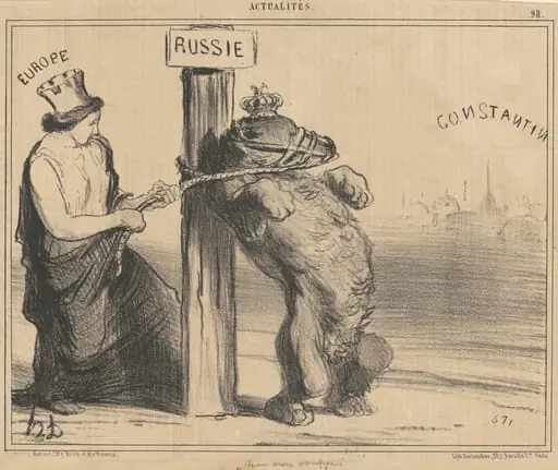 Un ours contrarié