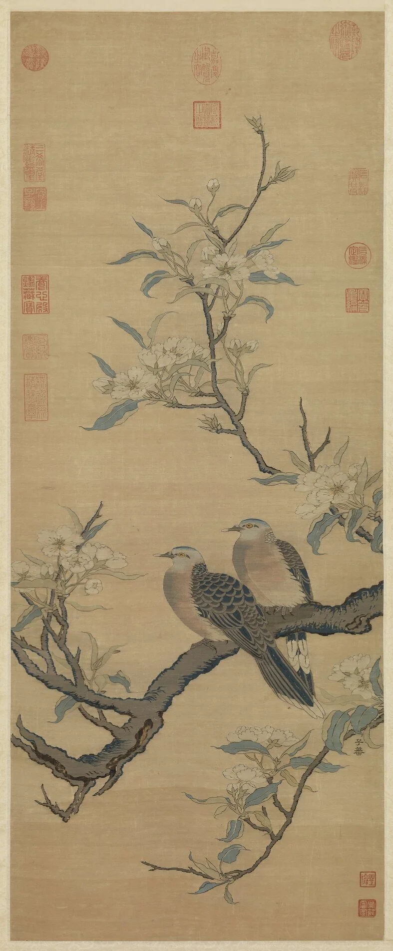 Q139386506