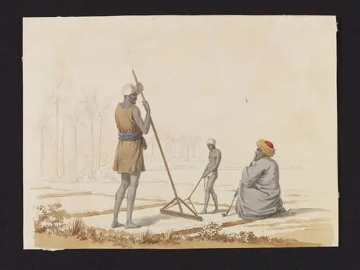 Fellahin preparing the ground, with an overseer
