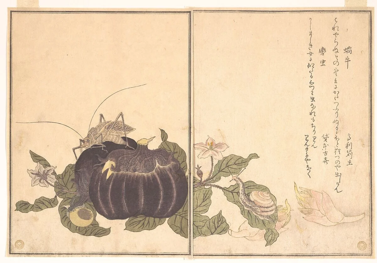 『画本虫撰』「蝸牛」「轡虫」|Land Snail (Katatsumuri); Giant Katydid (Kutsuwamushi), from the Picture Book of Crawling Creatures (Ehon mushi erami), by Kitagawa Utamaro, ink, 1788