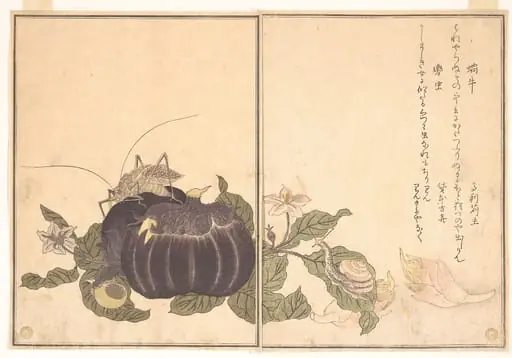 『画本虫撰』「蝸牛」「轡虫」|Land Snail (Katatsumuri); Giant Katydid (Kutsuwamushi), from the Picture Book of Crawling Creatures (Ehon mushi erami)