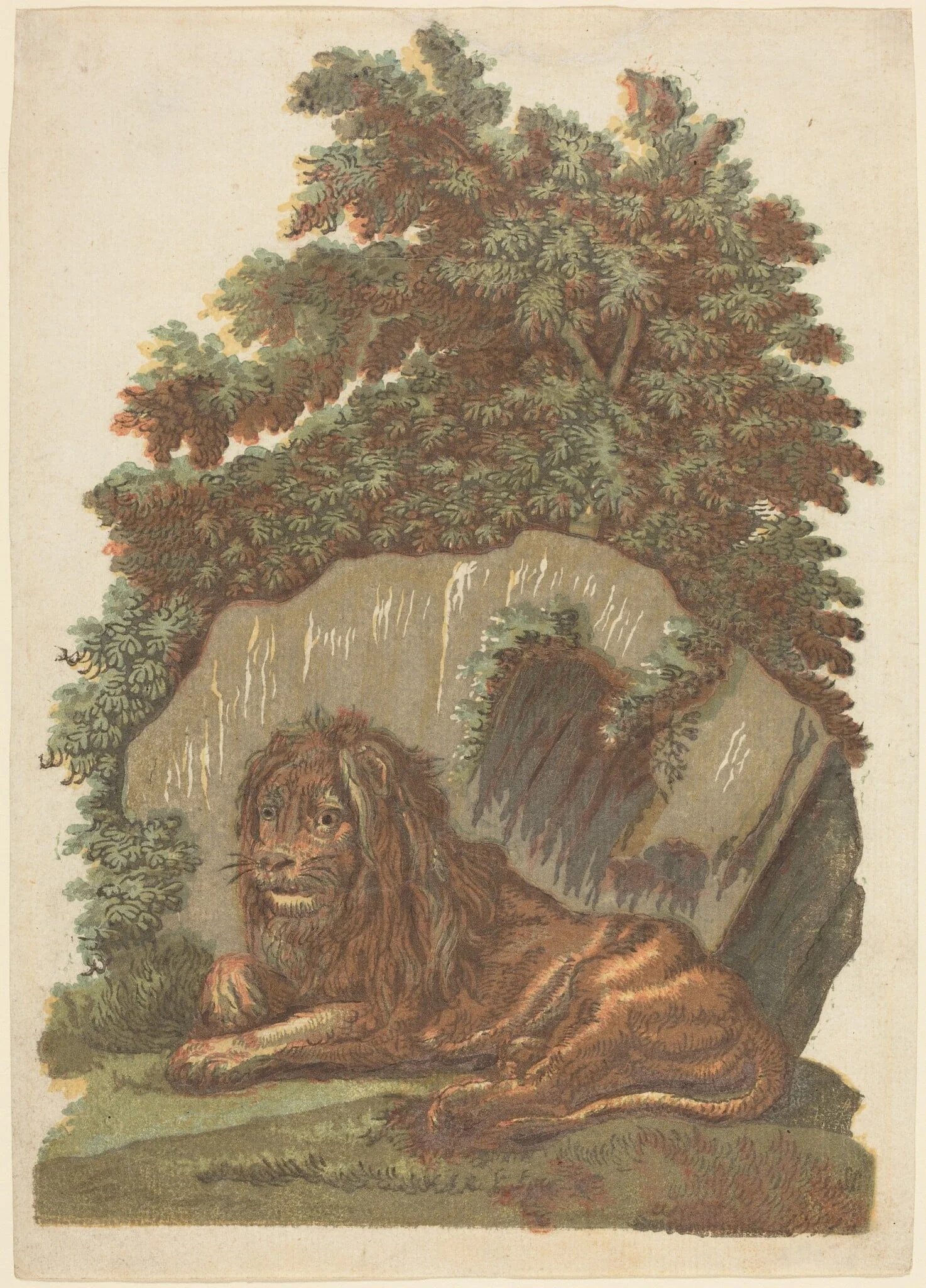 The Lion