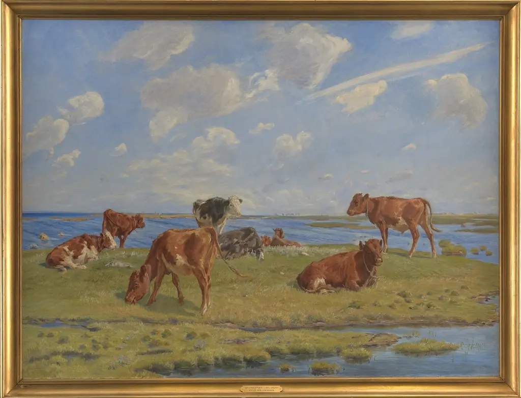 Kalve ved stranden