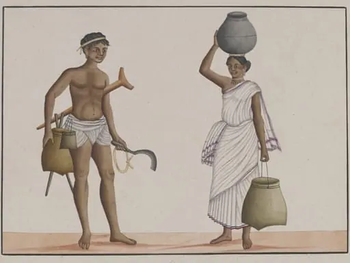 Toddy-tappers