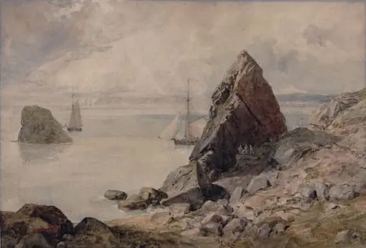 The Shag Rock, Tor Bay