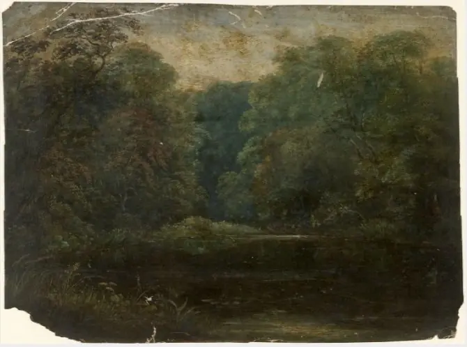 Woodland Pond
