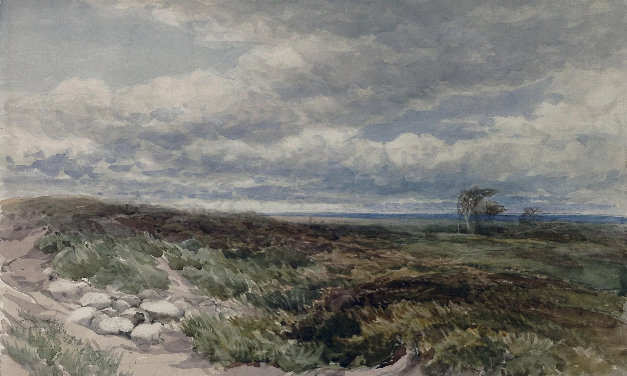 A Windy Moor