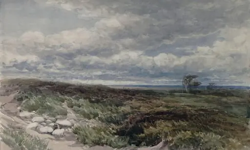 A Windy Moor