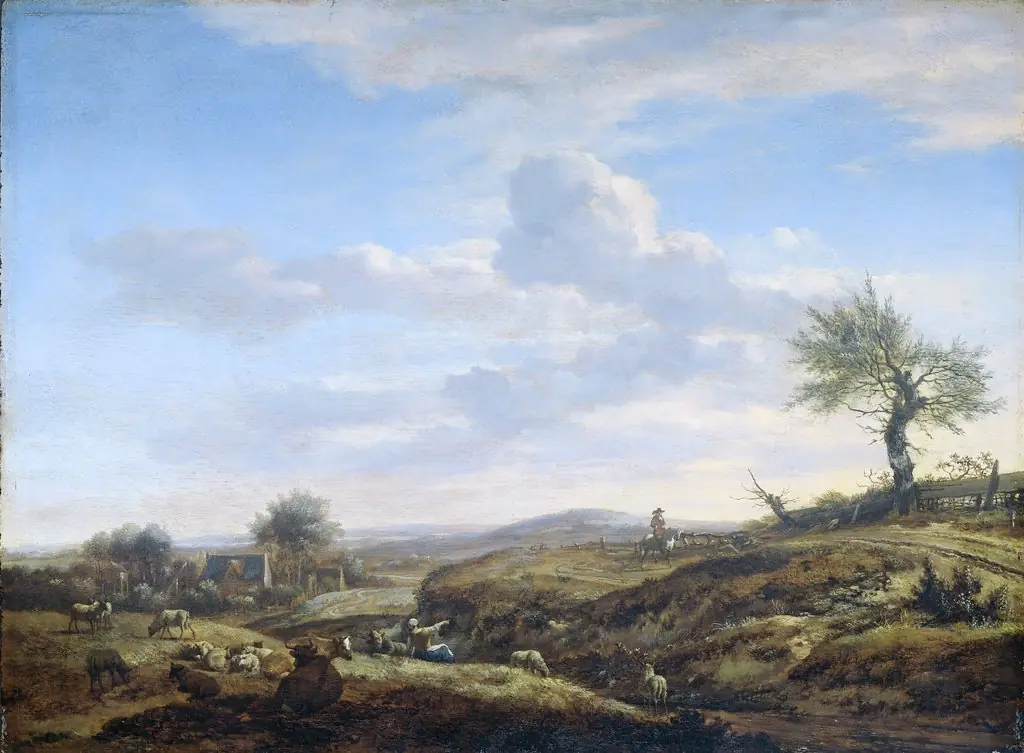 Hilly landscape with high road